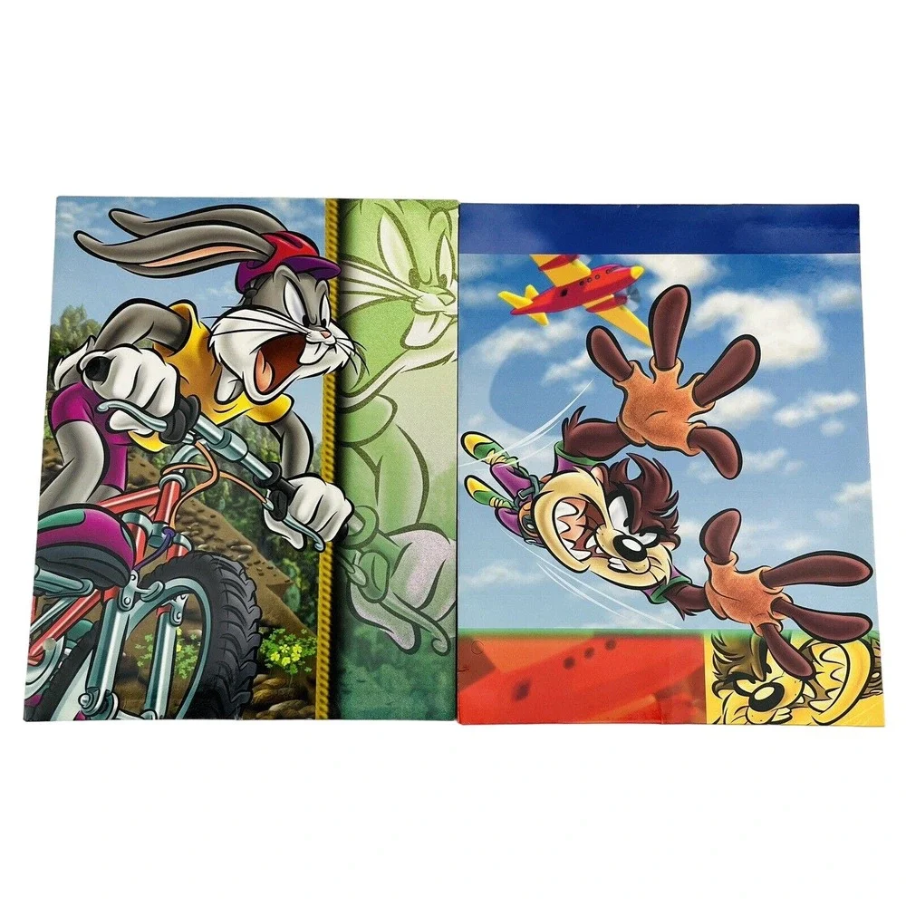 Vtg Looney Tunes Pocket Folder Lot of 2 Extreme Sports Bugs Taz 1999 Stuart Hall